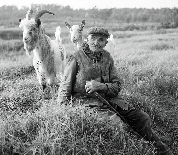 Siedzący na łące mężczyzna, patrzy na wprost, podpiera się laską, z jego lewej strony stoją dwie białe kozy.