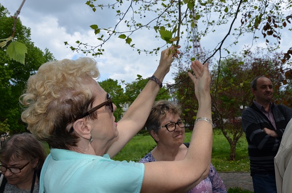 Dwie kobiety obserwują liście drzewa